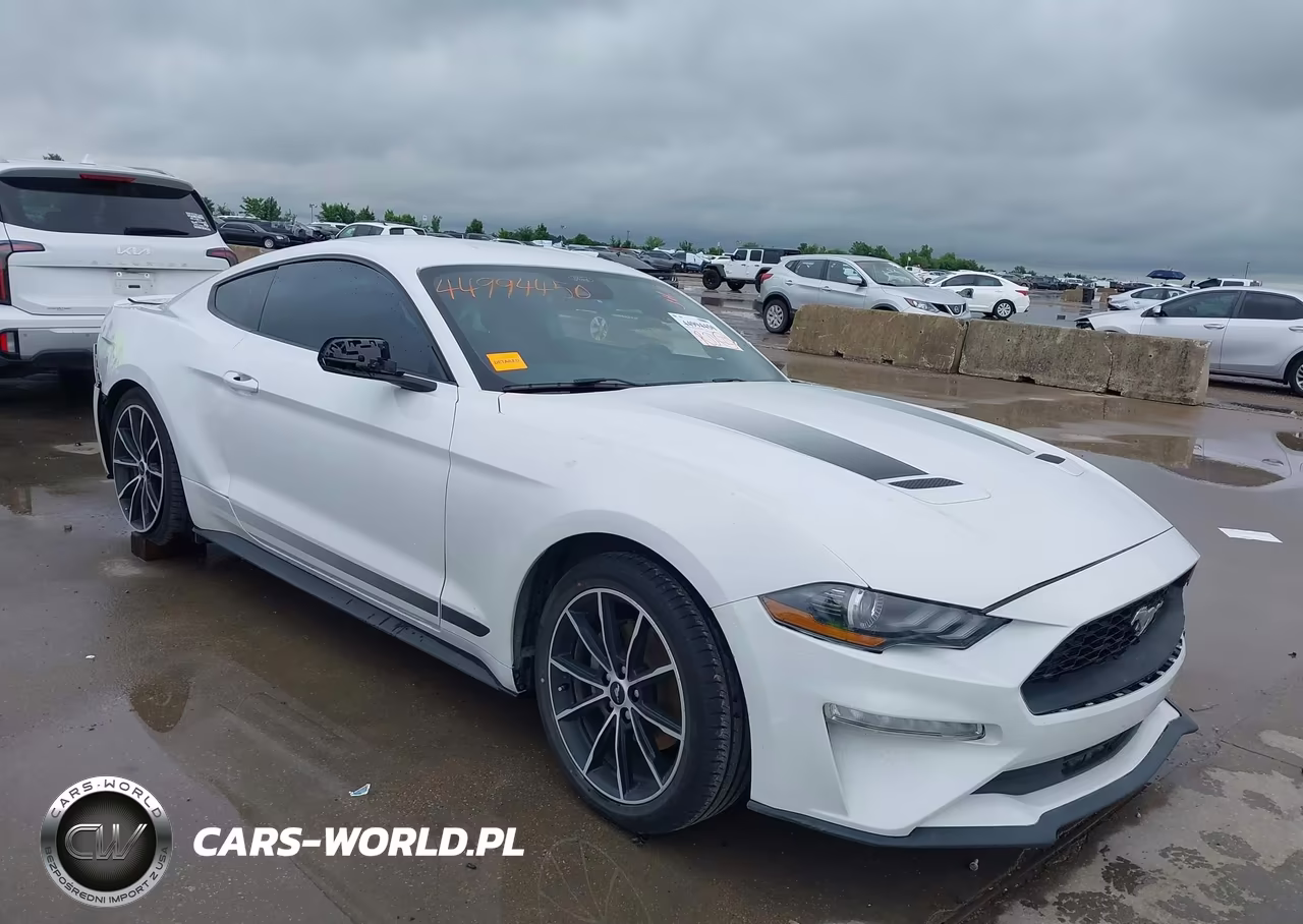 2022 Ford Mustang Ecoboost Fastback – zdjęcie 1 z 22