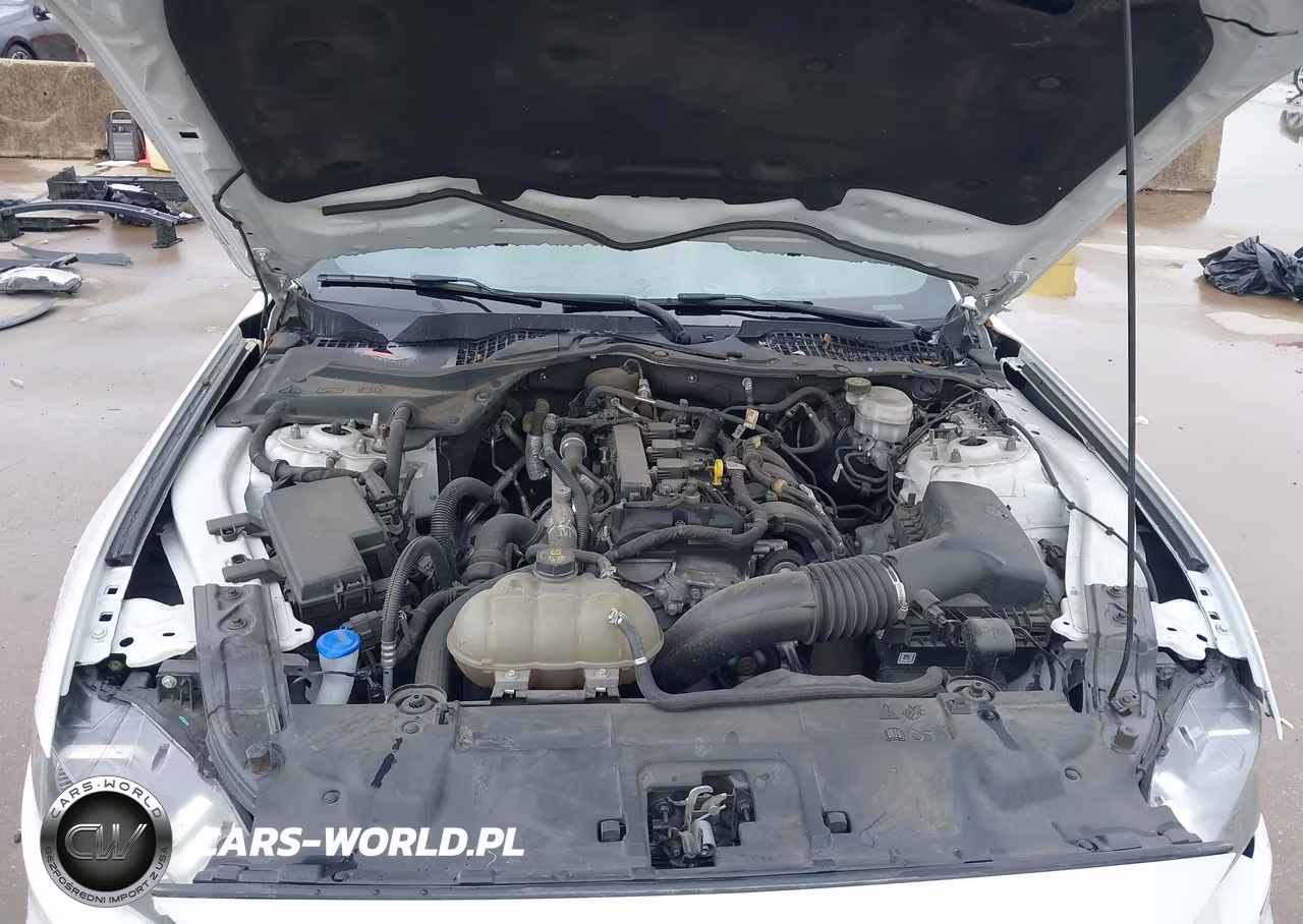 2022 Ford Mustang Ecoboost Fastback VIN:1FA6P8TH2N5146874 - 10