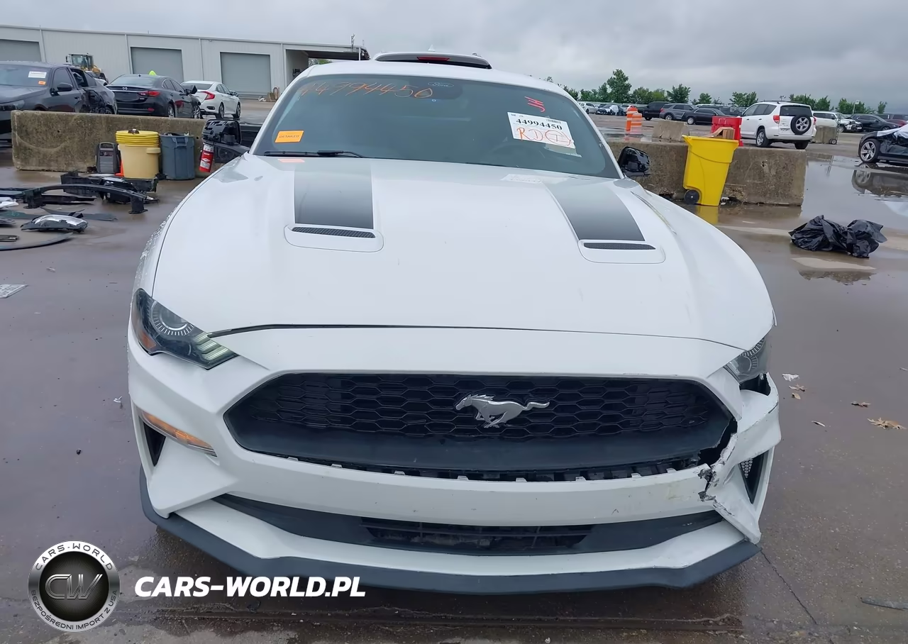2022 Ford Mustang Ecoboost Fastback VIN:1FA6P8TH2N5146874 - 13