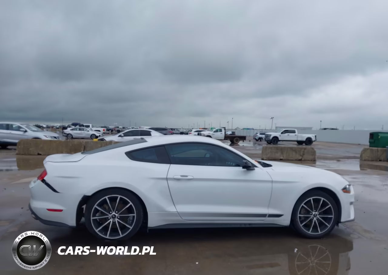 2022 Ford Mustang Ecoboost Fastback VIN:1FA6P8TH2N5146874 - 14