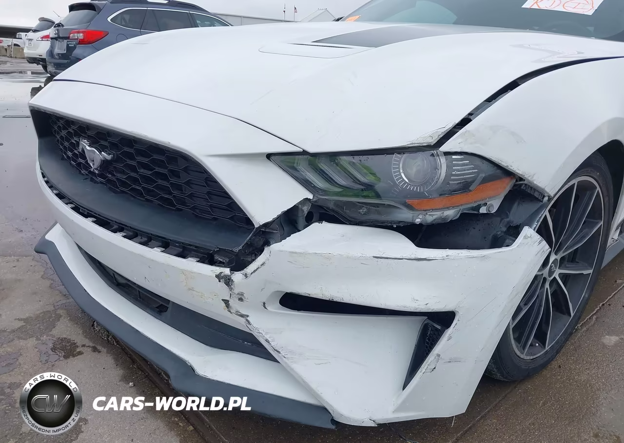 2022 Ford Mustang Ecoboost Fastback VIN:1FA6P8TH2N5146874 - 19