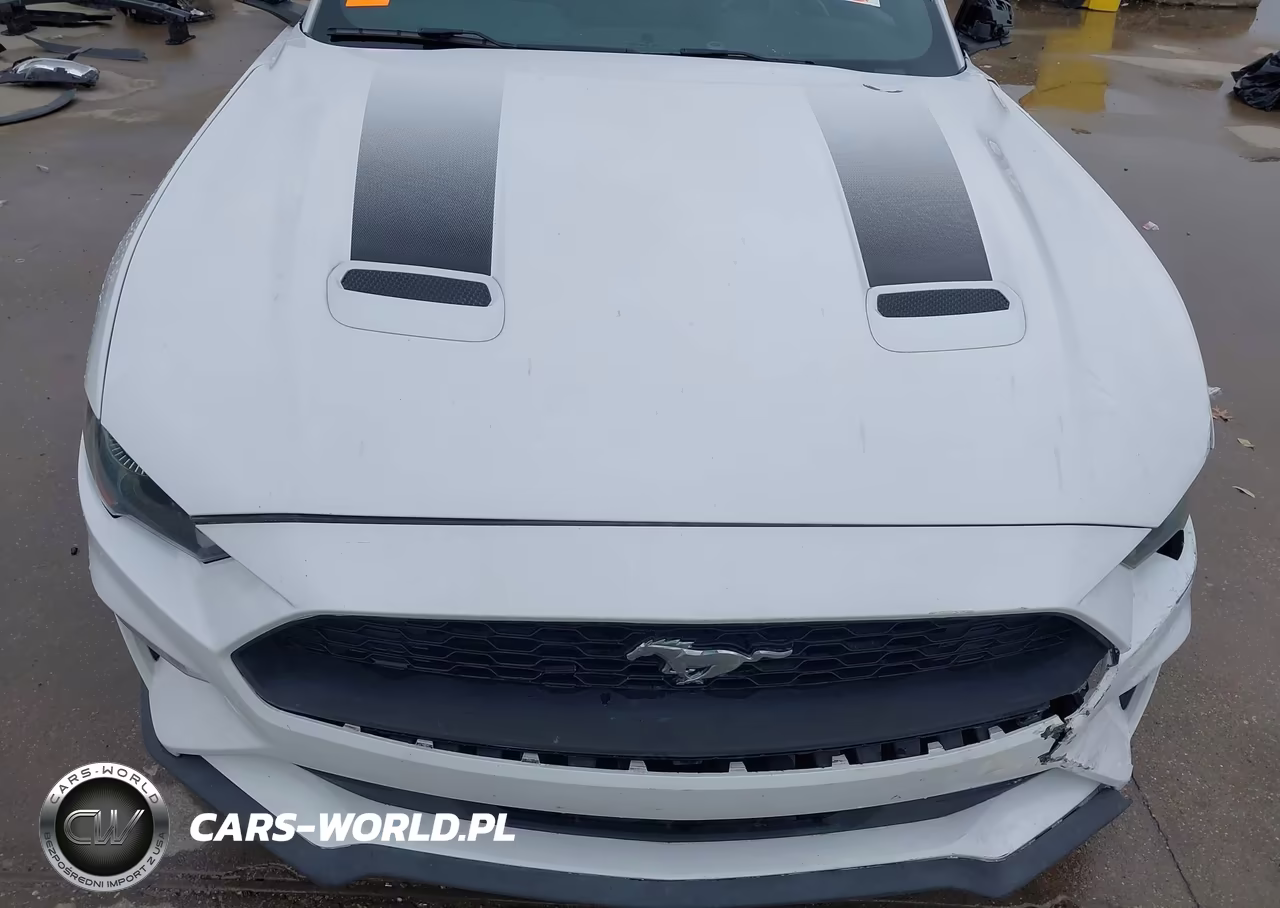 2022 Ford Mustang Ecoboost Fastback VIN:1FA6P8TH2N5146874 - 20