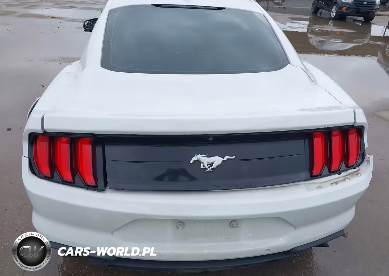 2022 Ford Mustang Ecoboost Fastback VIN:1FA6P8TH2N5146874 - 22