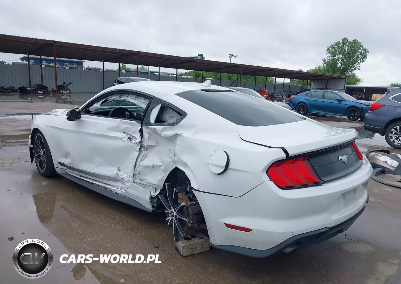 2022 Ford Mustang Ecoboost Fastback VIN:1FA6P8TH2N5146874 - 3