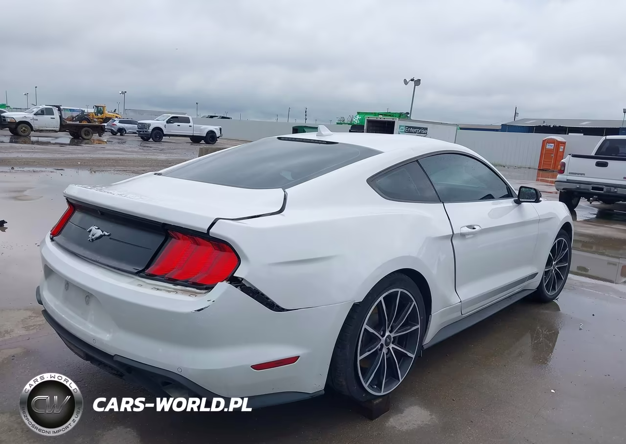 2022 Ford Mustang Ecoboost Fastback VIN:1FA6P8TH2N5146874 - 4