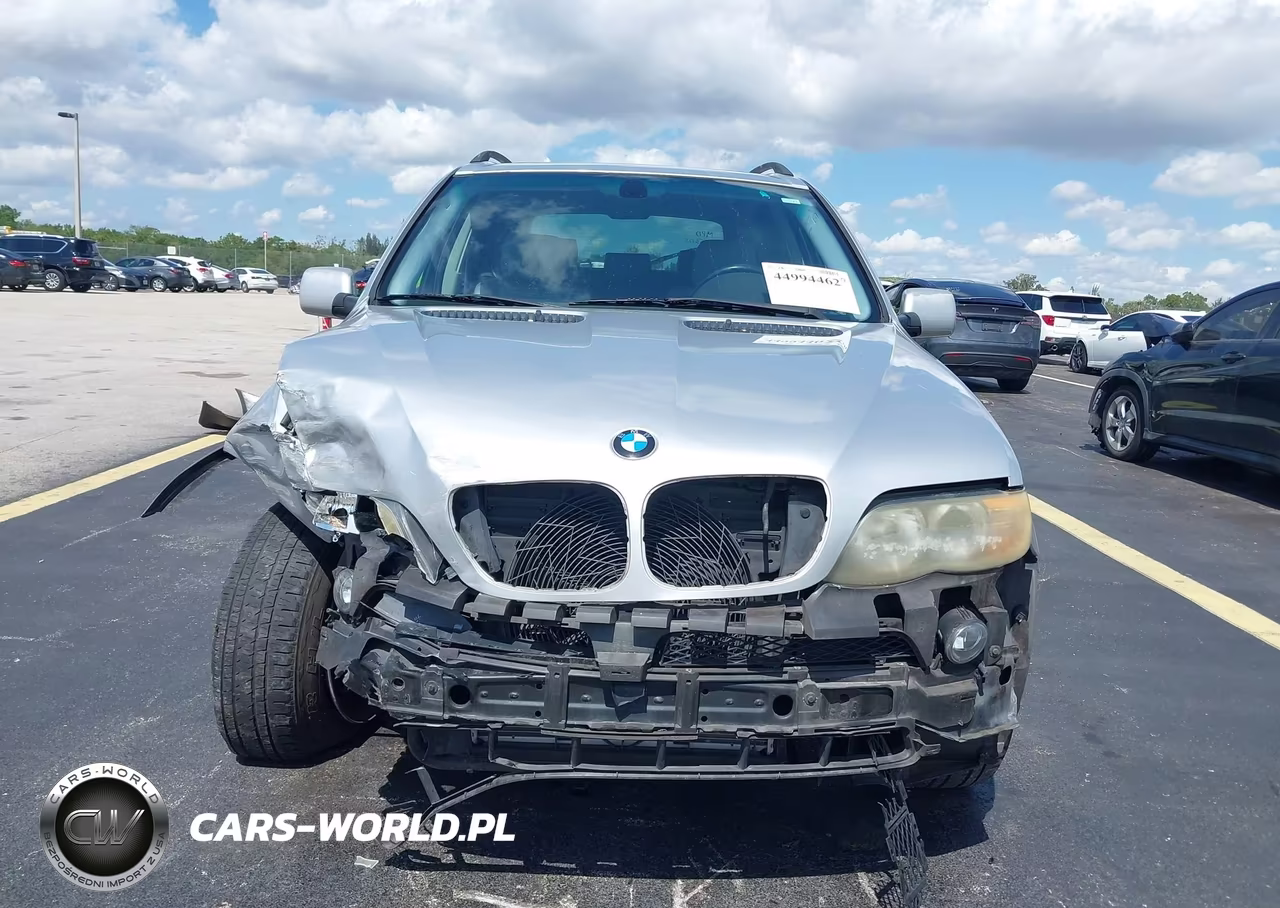 2006 BMW X5 3.0I VIN:5UXFA13546LY28305 - 13