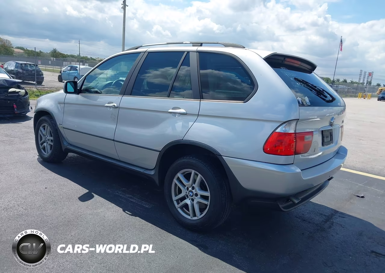 2006 BMW X5 3.0I VIN:5UXFA13546LY28305 - 3