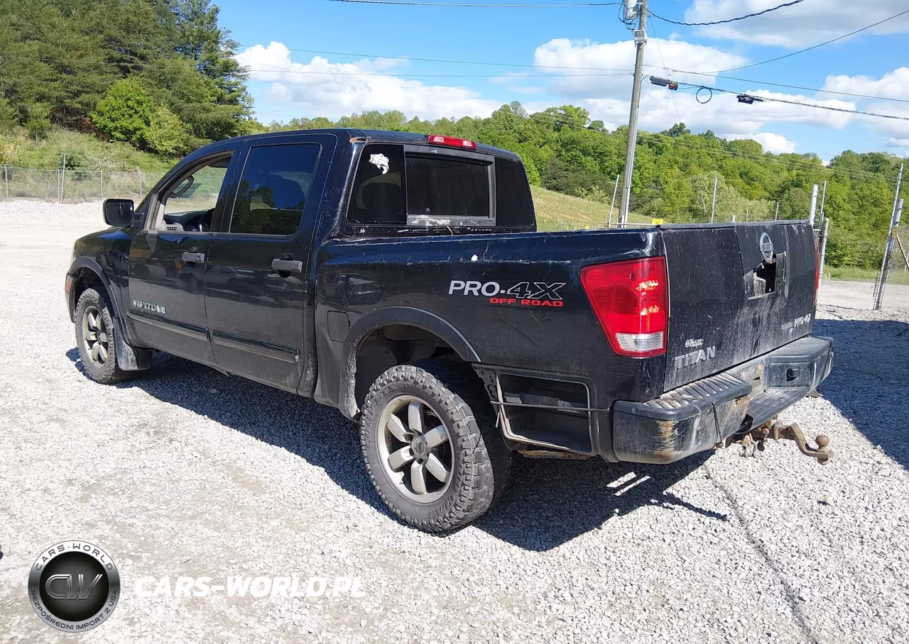 2011 Nissan Titan Pro-4X VIN:1N6BA0EC3BN318254 - 3