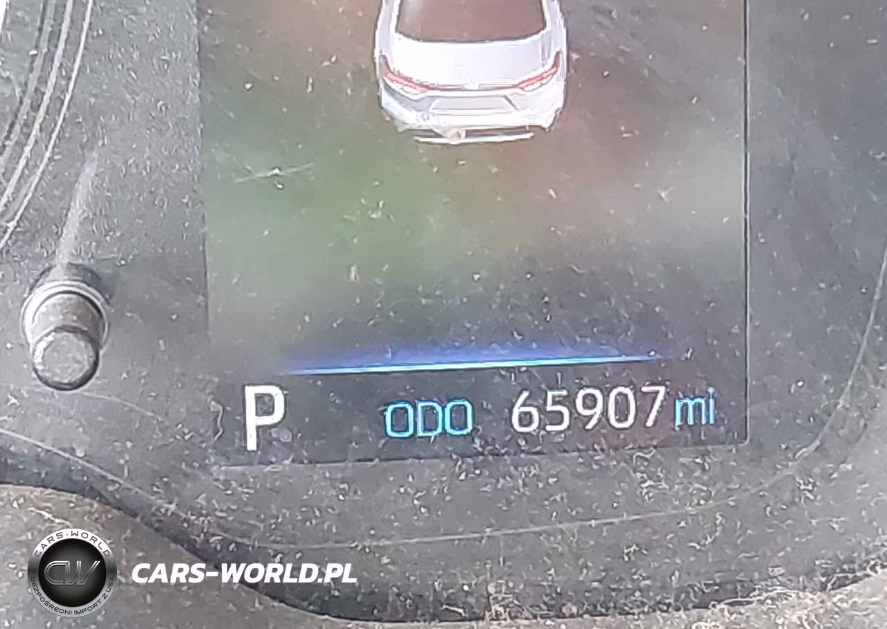2020 Toyota Corolla Se VIN:JTDS4RCE5LJ015018 - 16