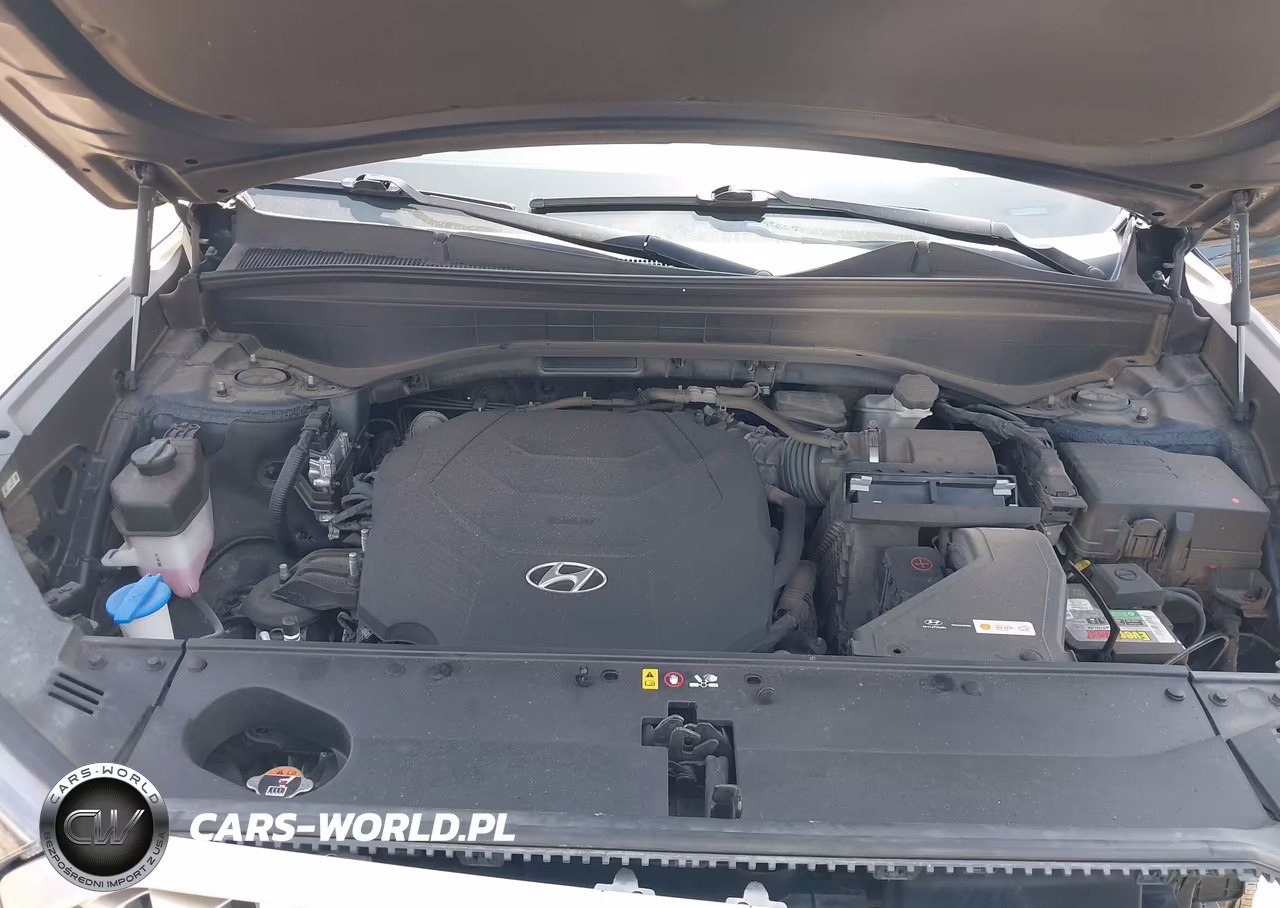 2022 Hyundai Palisade Sel VIN:KM8R4DHEXNU436918 - 10