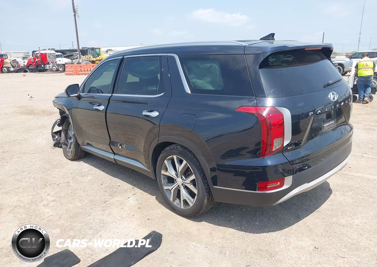 2022 Hyundai Palisade Sel VIN:KM8R4DHEXNU436918 - 3