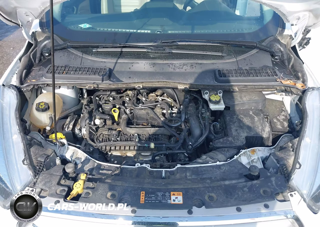 2019 Ford Escape Sel VIN:1FMCU9HD1KUA79635 - 10