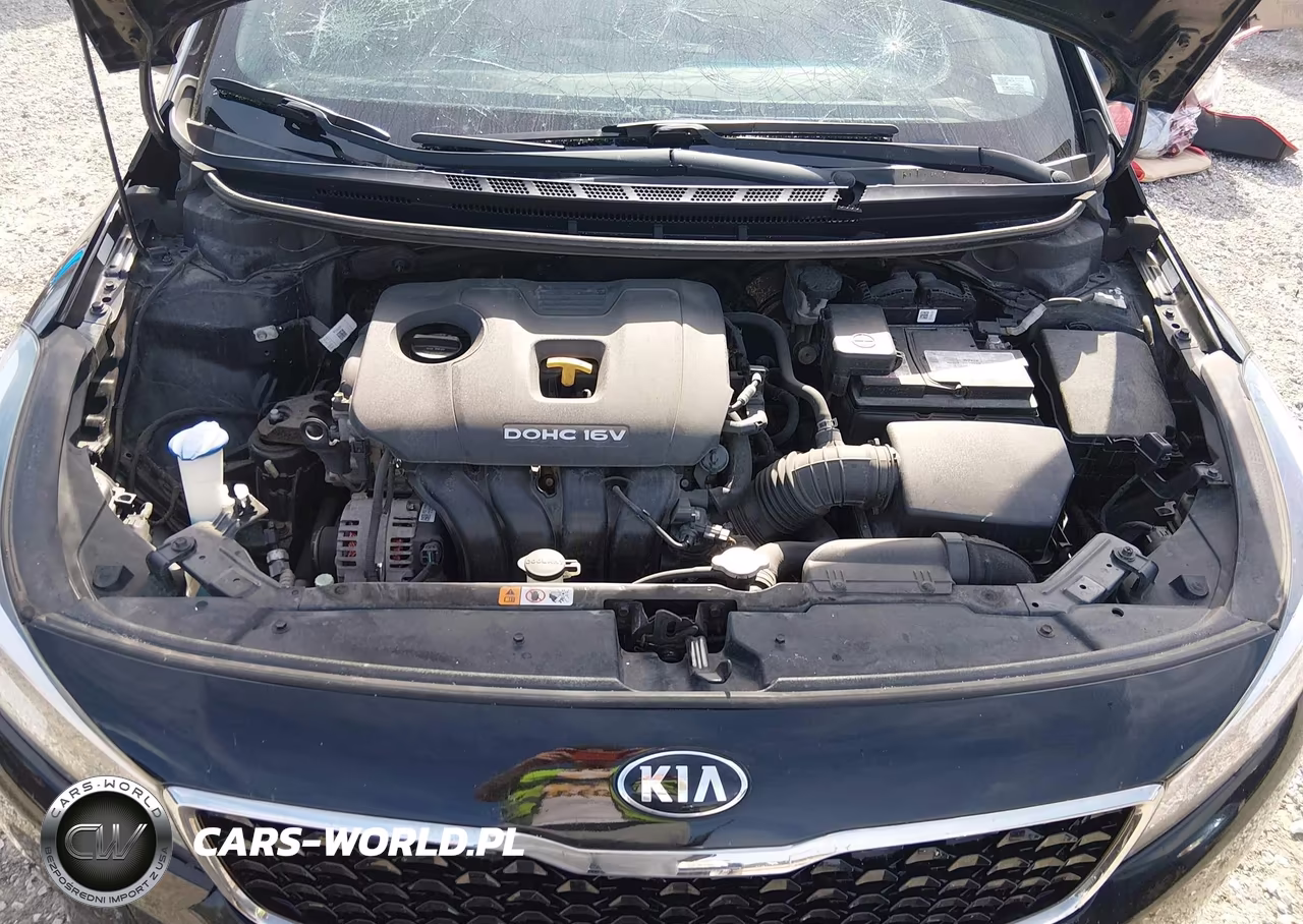 2018 Kia Forte Lx VIN:3KPFL4A73JE232086 - 10