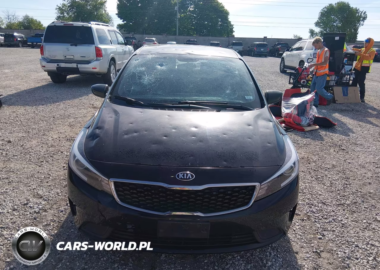 2018 Kia Forte Lx VIN:3KPFL4A73JE232086 - 12