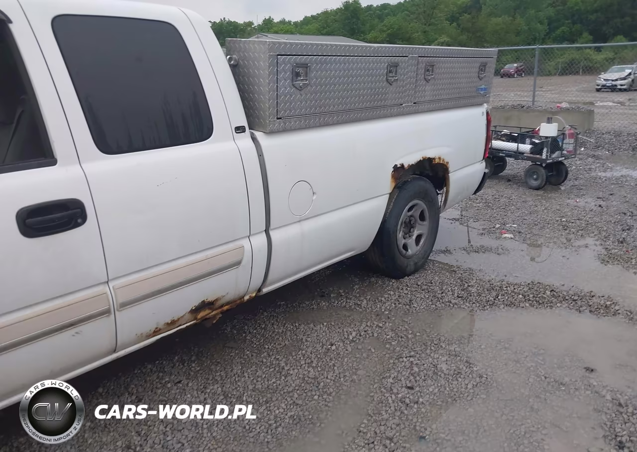 2004 Chevrolet Silverado 1500 Ls VIN:1GCEC19TX4E366699 - 12
