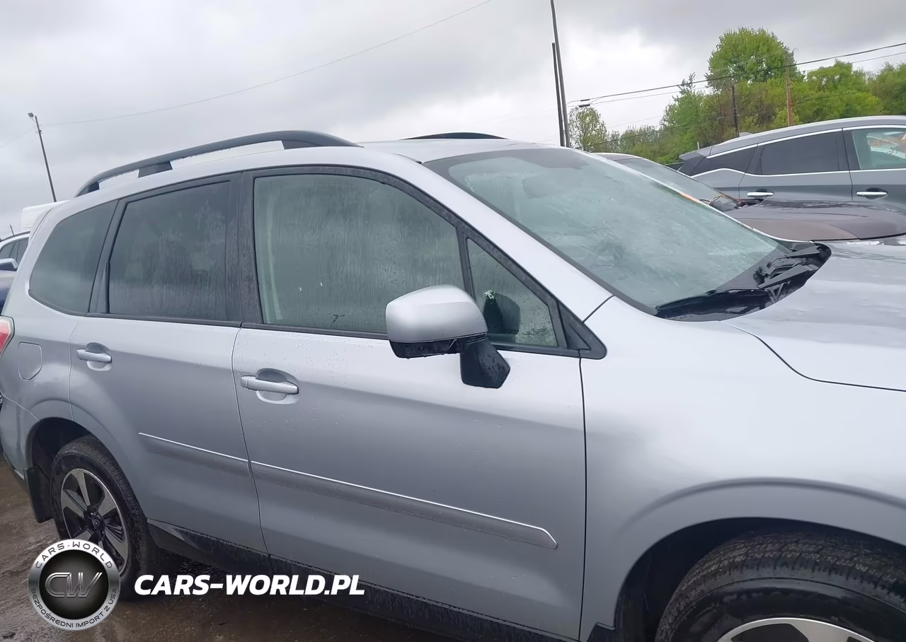 2017 Subaru Forester 2.5I Premium VIN:JF2SJAEC4HH479343 - 13