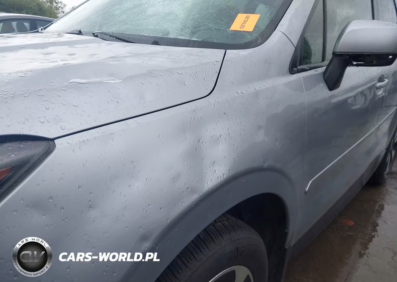 2017 Subaru Forester 2.5I Premium VIN:JF2SJAEC4HH479343 - 19