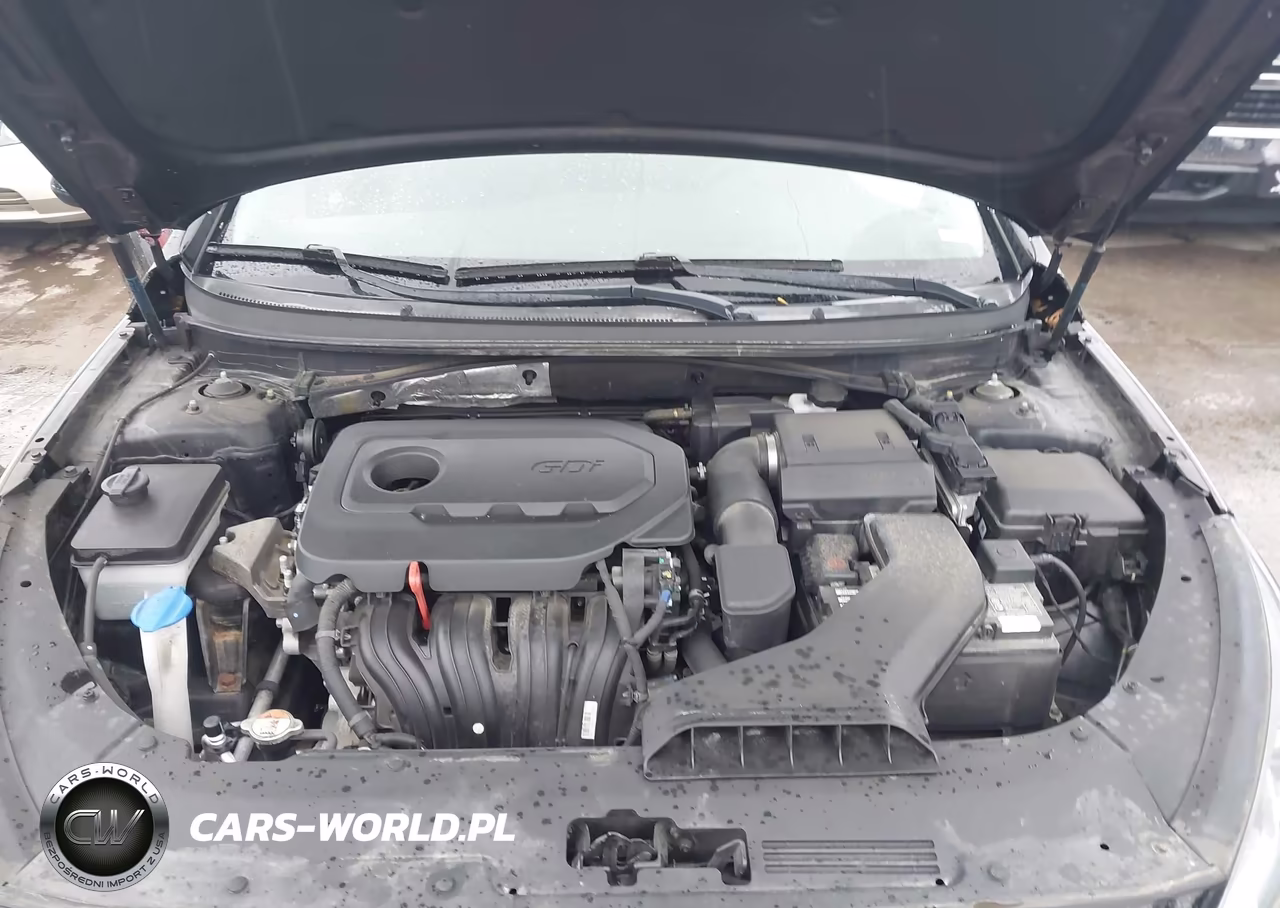 2019 Hyundai Sonata Se VIN:5NPE24AF2KH807118 - 10