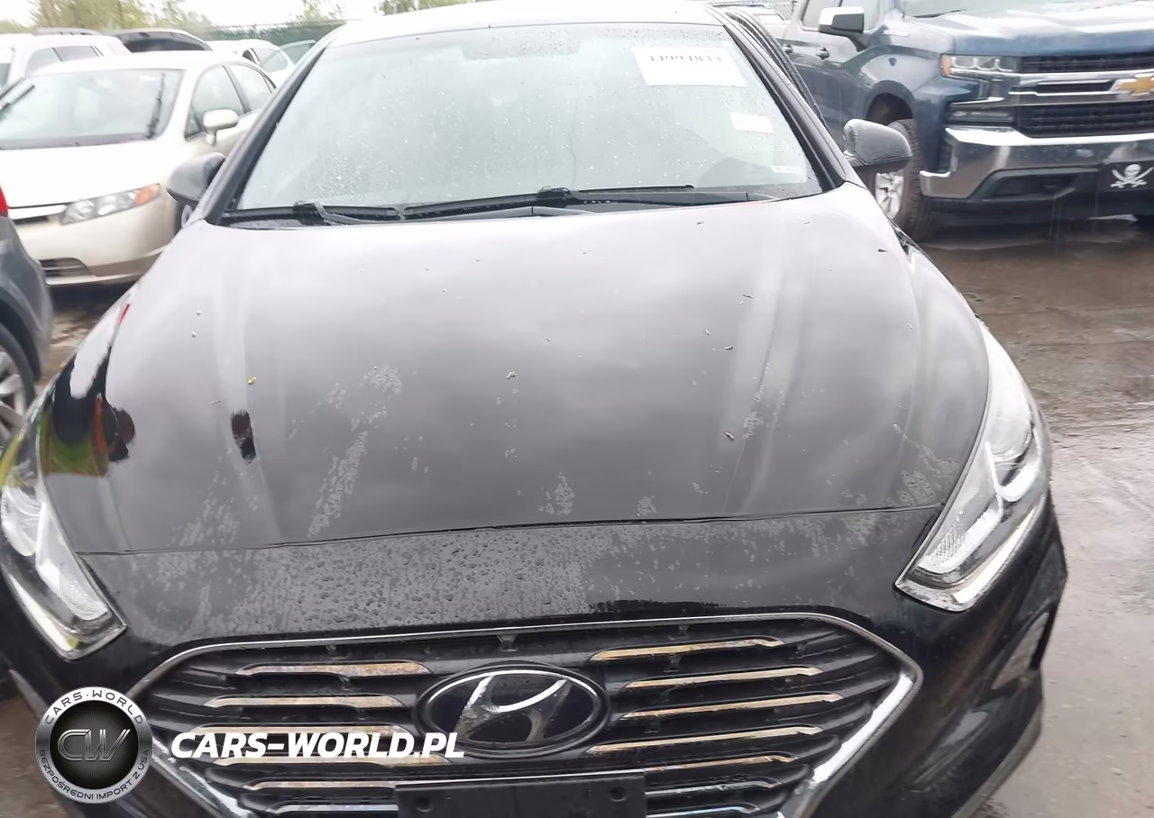 2019 Hyundai Sonata Se VIN:5NPE24AF2KH807118 - 12