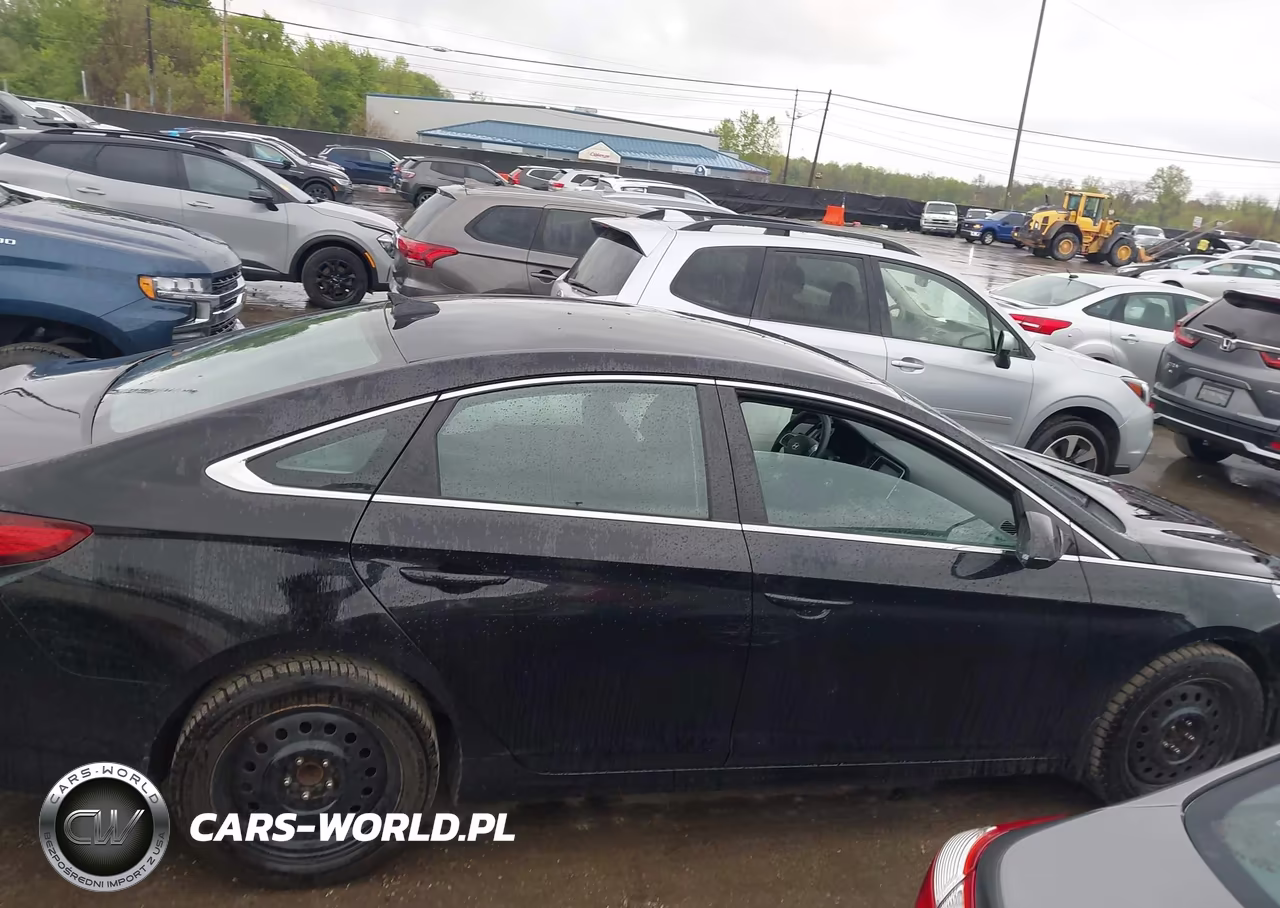 2019 Hyundai Sonata Se VIN:5NPE24AF2KH807118 - 13