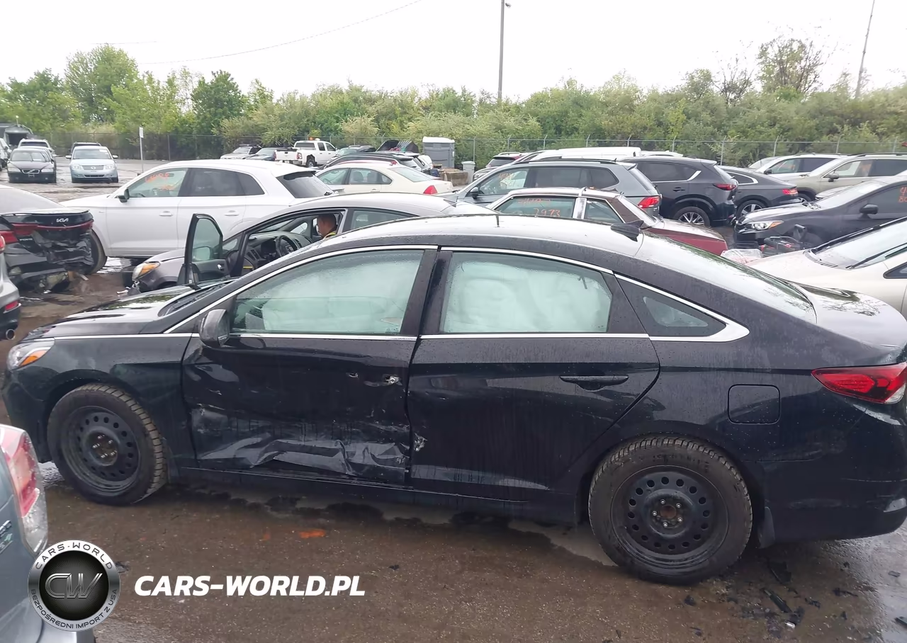 2019 Hyundai Sonata Se VIN:5NPE24AF2KH807118 - 14