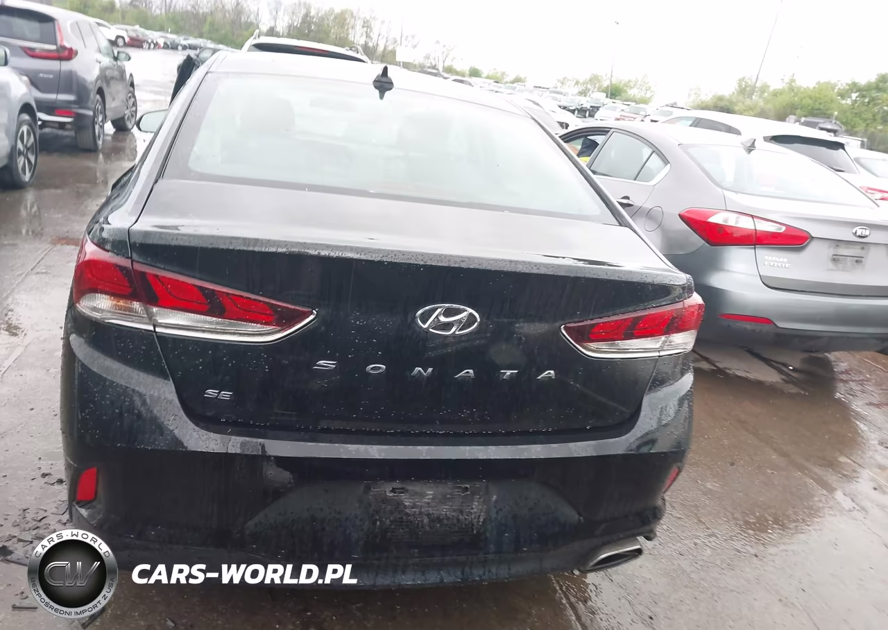2019 Hyundai Sonata Se VIN:5NPE24AF2KH807118 - 16
