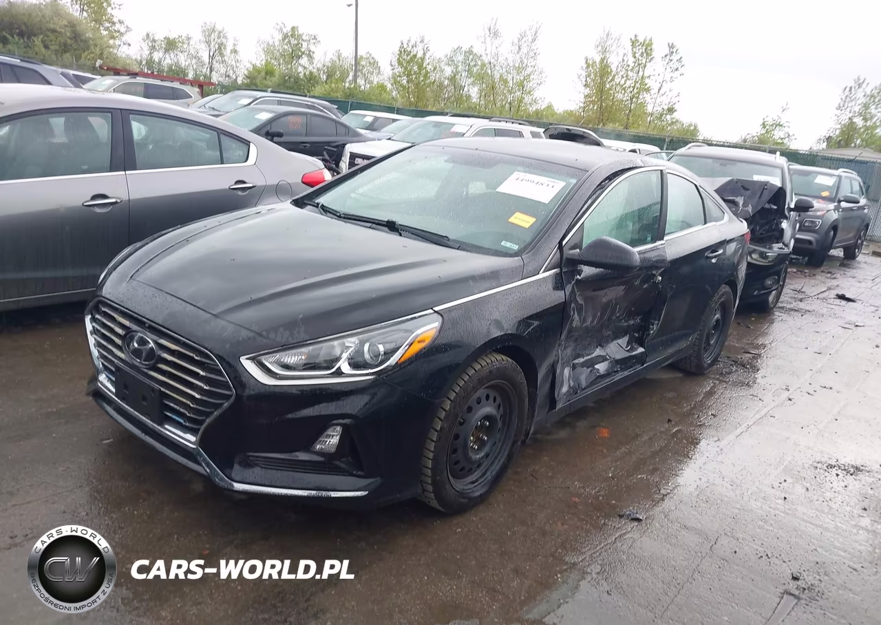 2019 Hyundai Sonata Se VIN:5NPE24AF2KH807118 - 2