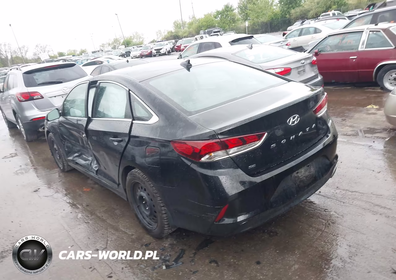 2019 Hyundai Sonata Se VIN:5NPE24AF2KH807118 - 3