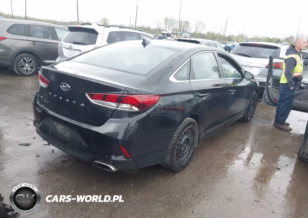 2019 Hyundai Sonata Se VIN:5NPE24AF2KH807118 - 4
