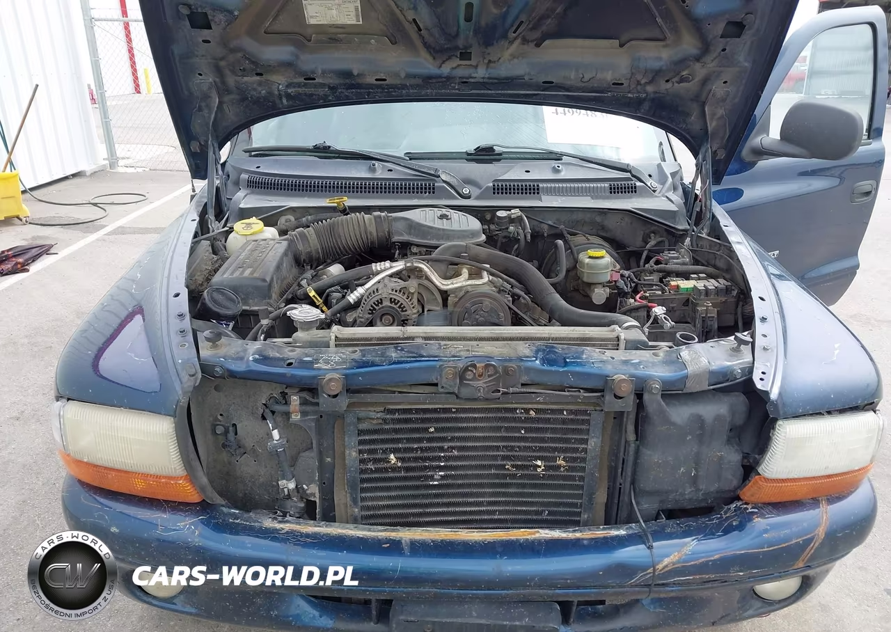 1999 Dodge Durango VIN:1B4HS28Y3XF591013 - 10