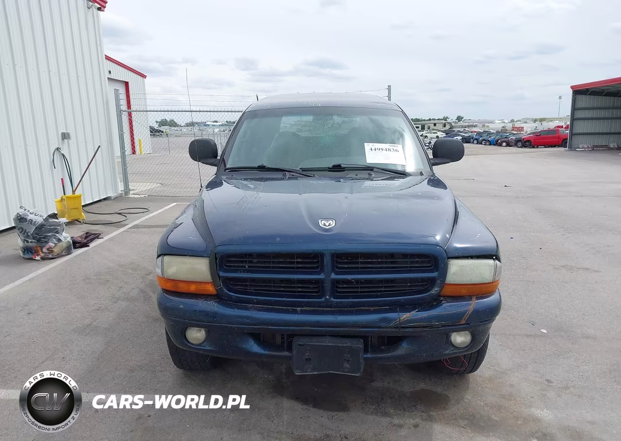 1999 Dodge Durango VIN:1B4HS28Y3XF591013 - 13