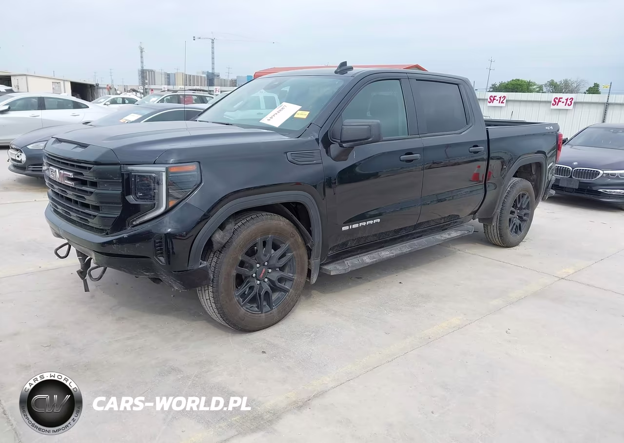 2024 GMC Sierra 1500 4Wd Short Box Pro VIN:1GTPUAEK2RZ294254 - 2