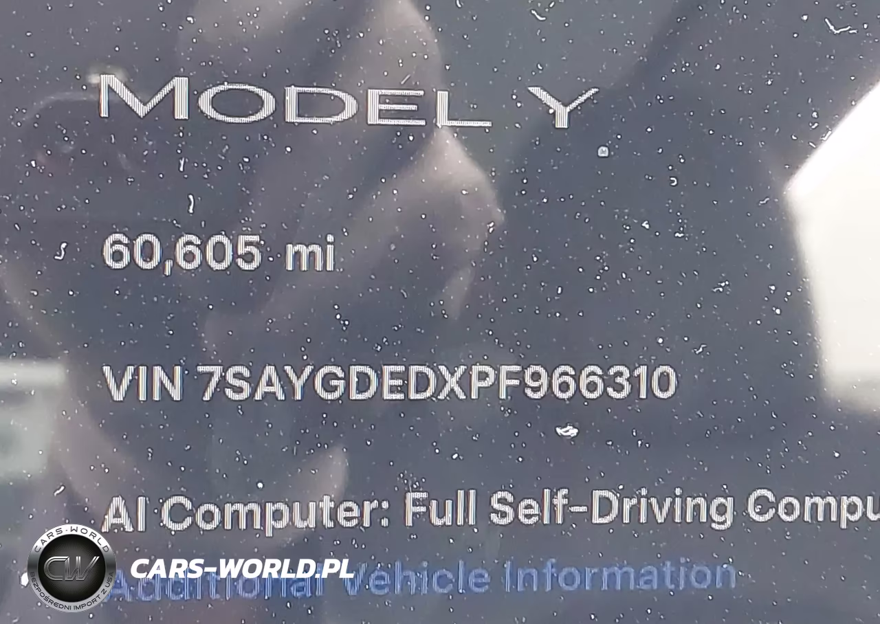 2023 Tesla Model Y Rwd VIN:7SAYGDEDXPF966310 - 15