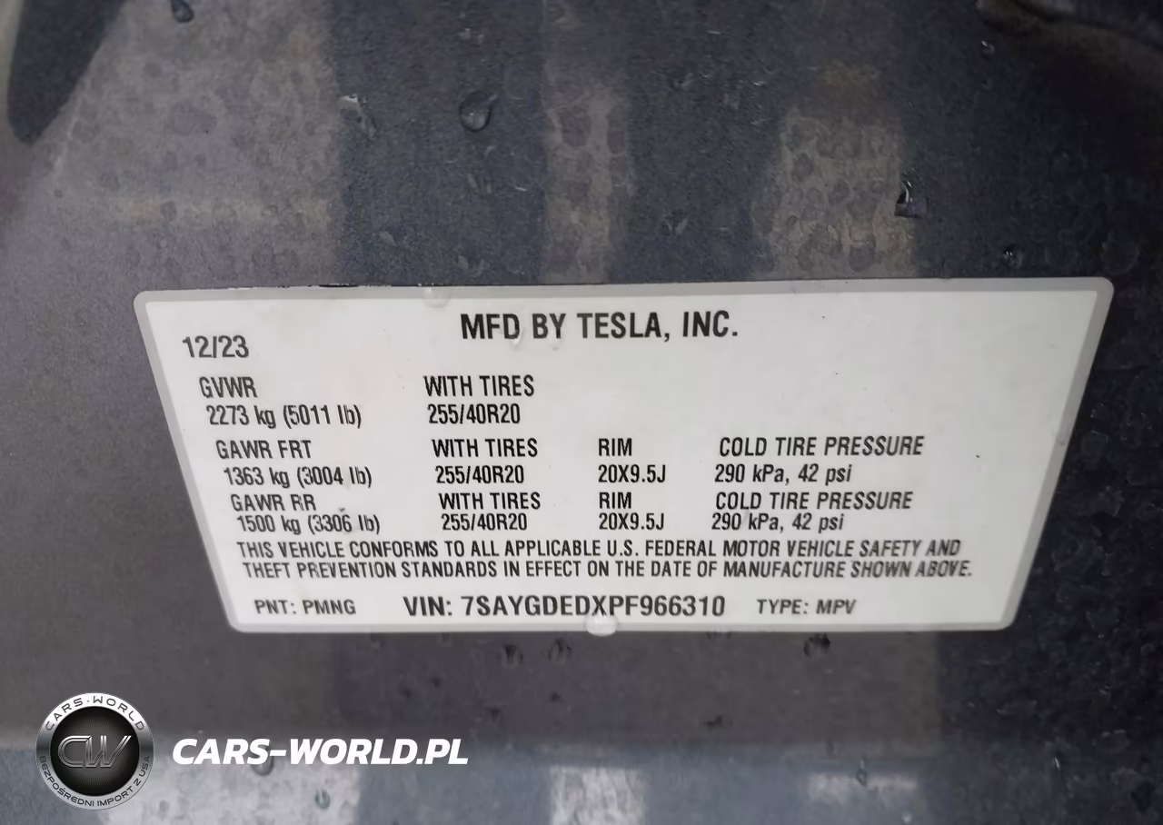 2023 Tesla Model Y Rwd VIN:7SAYGDEDXPF966310 - 9
