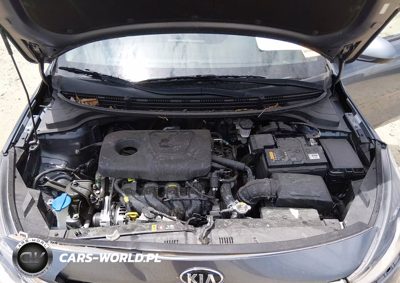 2019 Kia Rio 5-Door S VIN:3KPA25AB5KE220434 - 10