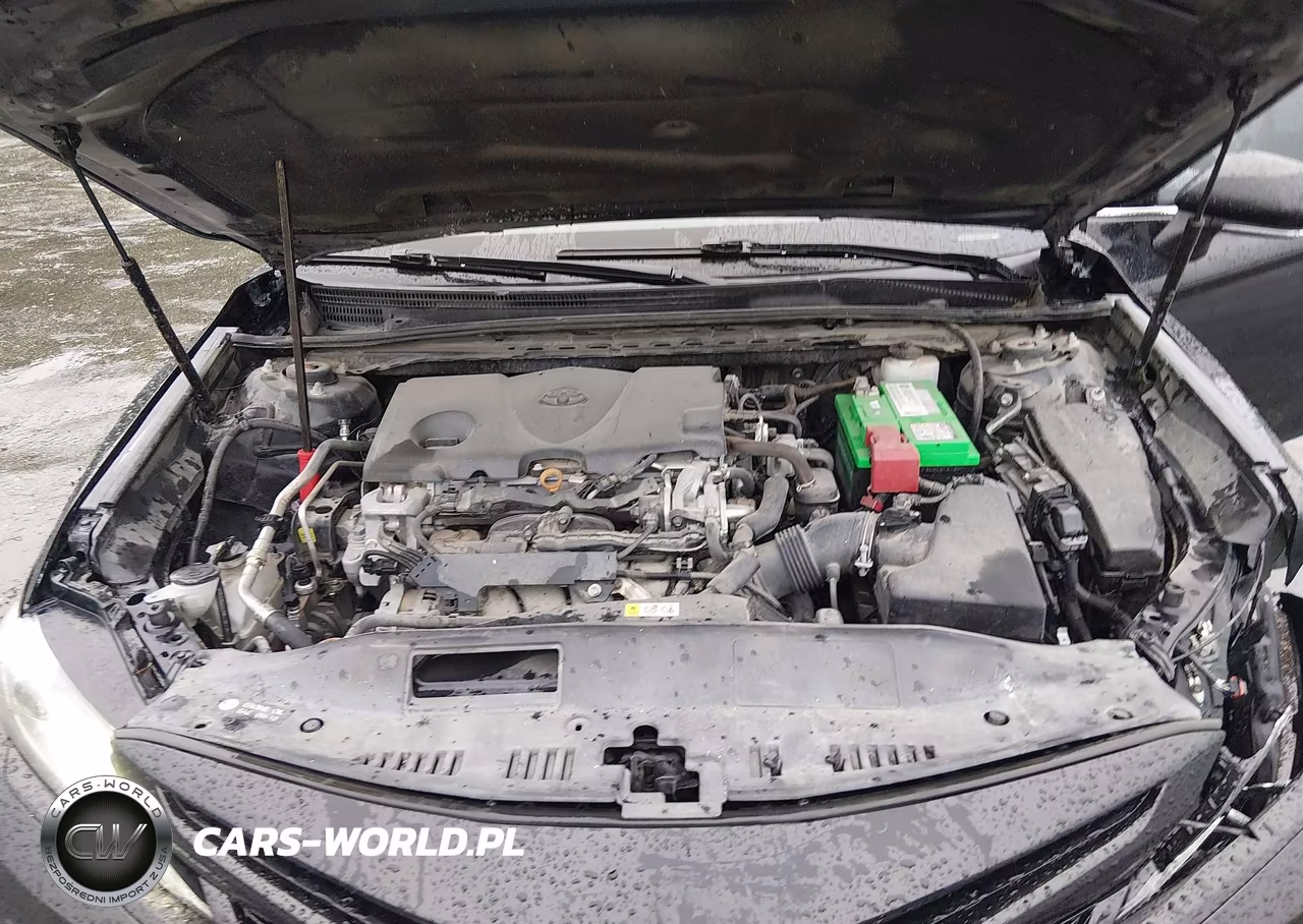 2019 Toyota Camry Xse VIN:4T1B61HK1KU793111 - 10