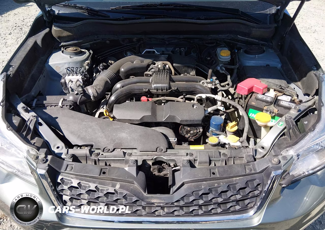 2015 Subaru Forester 2.5I Premium VIN:JF2SJADC2FH807521 - 10