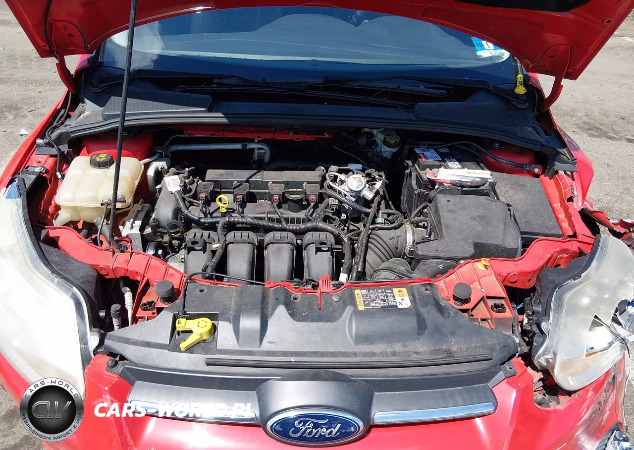 2014 Ford Focus Se VIN:1FADP3F2XEL322101 - 10