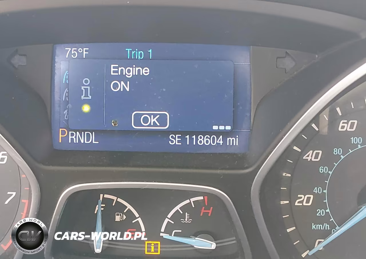 2014 Ford Focus Se VIN:1FADP3F2XEL322101 - 12