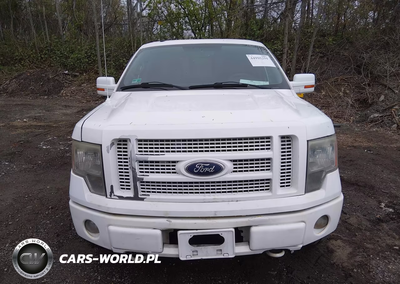 2010 Ford F-150 Fx4-Harley-Davidson-King Ranch-Lariat-Platinum-Xl-Xlt VIN:1FTFW1EV1AFB49390 - 12