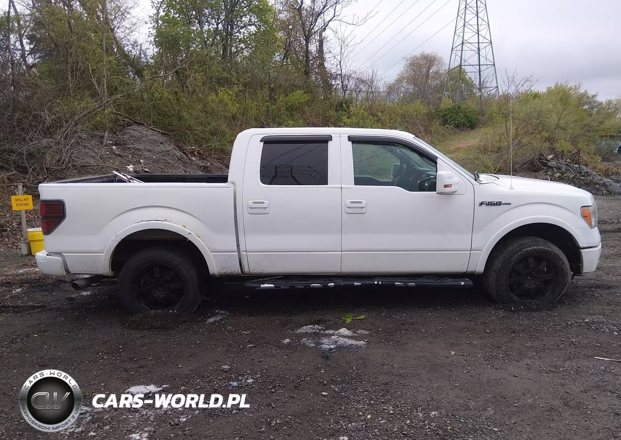 2010 Ford F-150 Fx4-Harley-Davidson-King Ranch-Lariat-Platinum-Xl-Xlt VIN:1FTFW1EV1AFB49390 - 13