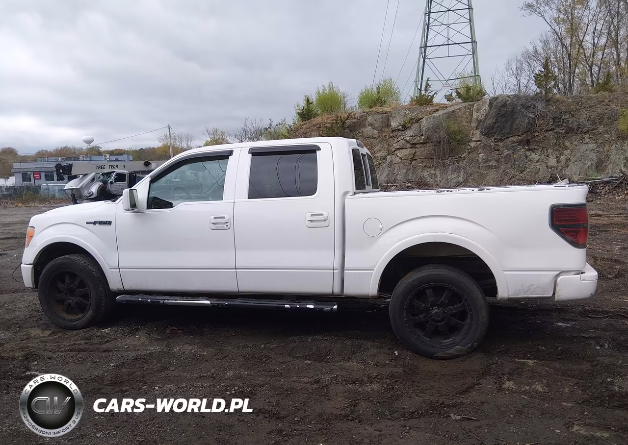 2010 Ford F-150 Fx4-Harley-Davidson-King Ranch-Lariat-Platinum-Xl-Xlt VIN:1FTFW1EV1AFB49390 - 14