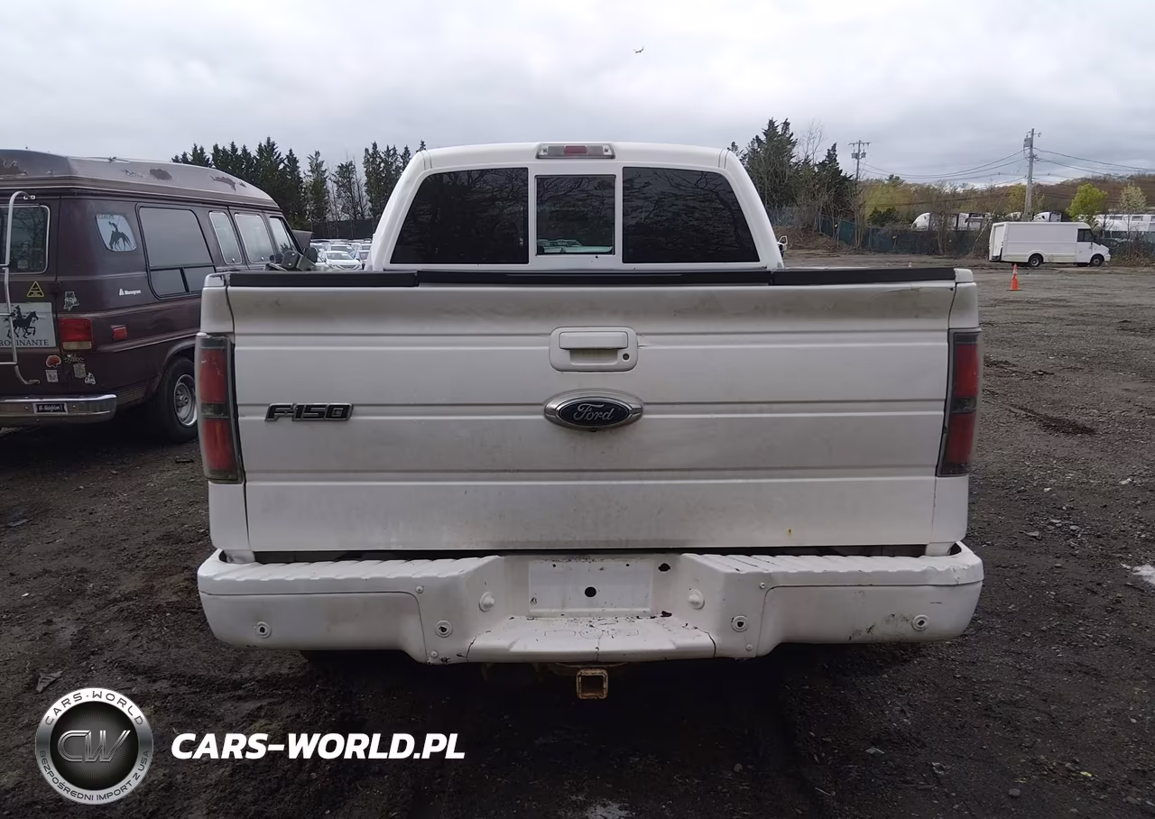 2010 Ford F-150 Fx4-Harley-Davidson-King Ranch-Lariat-Platinum-Xl-Xlt VIN:1FTFW1EV1AFB49390 - 16