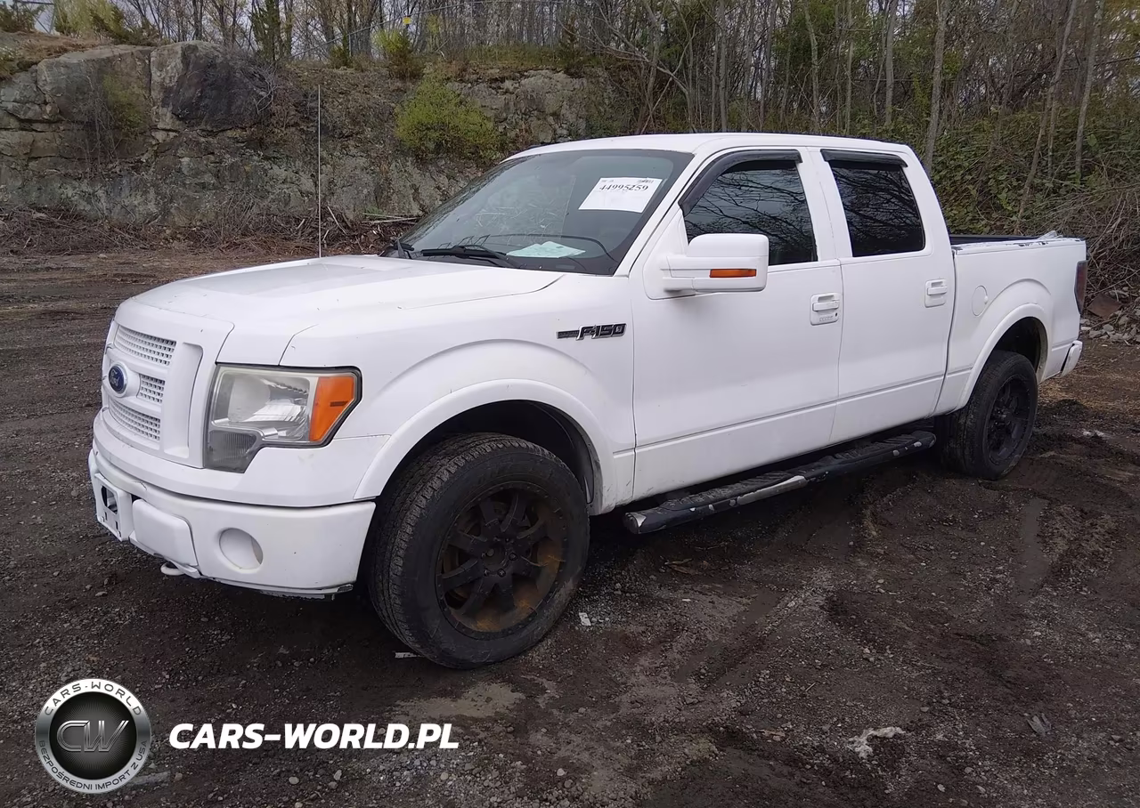 2010 Ford F-150 Fx4-Harley-Davidson-King Ranch-Lariat-Platinum-Xl-Xlt VIN:1FTFW1EV1AFB49390 - 2