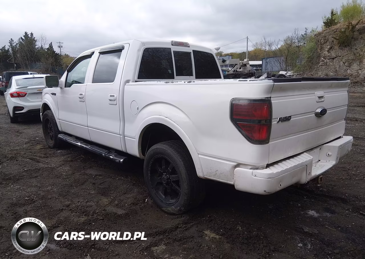 2010 Ford F-150 Fx4-Harley-Davidson-King Ranch-Lariat-Platinum-Xl-Xlt VIN:1FTFW1EV1AFB49390 - 3