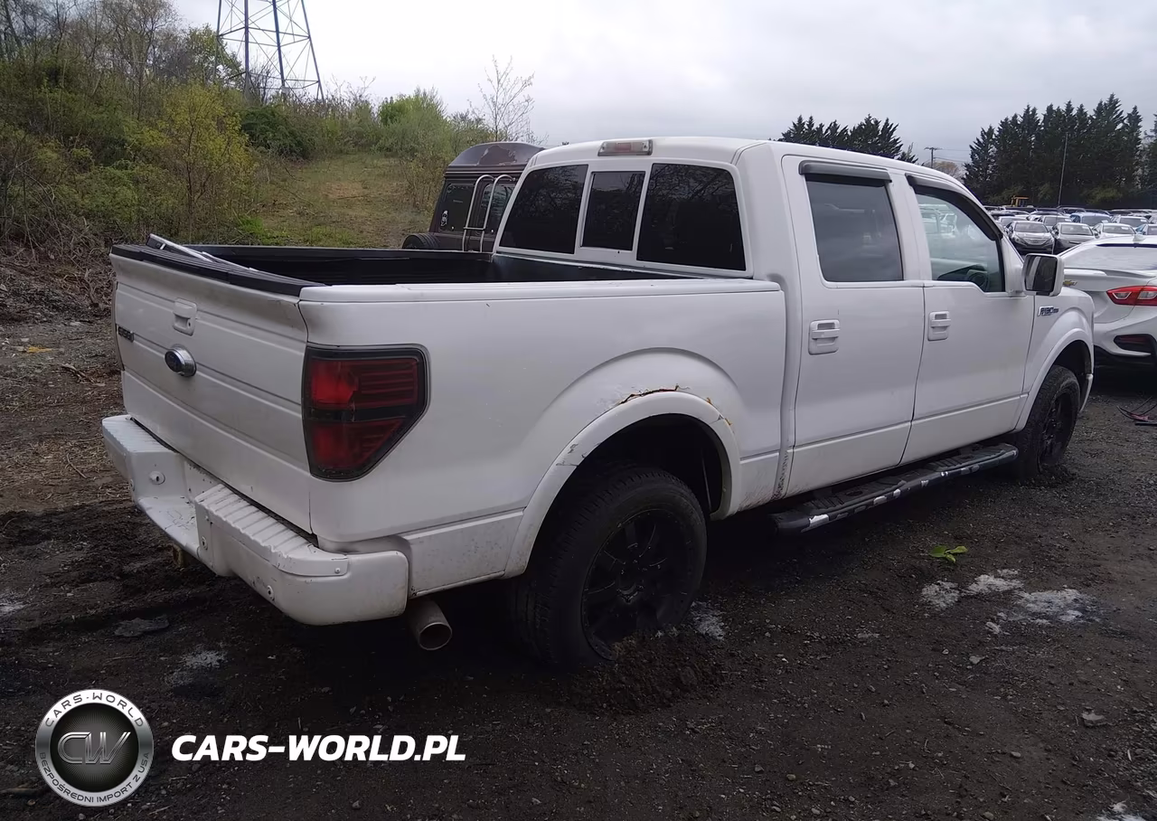 2010 Ford F-150 Fx4-Harley-Davidson-King Ranch-Lariat-Platinum-Xl-Xlt VIN:1FTFW1EV1AFB49390 - 4