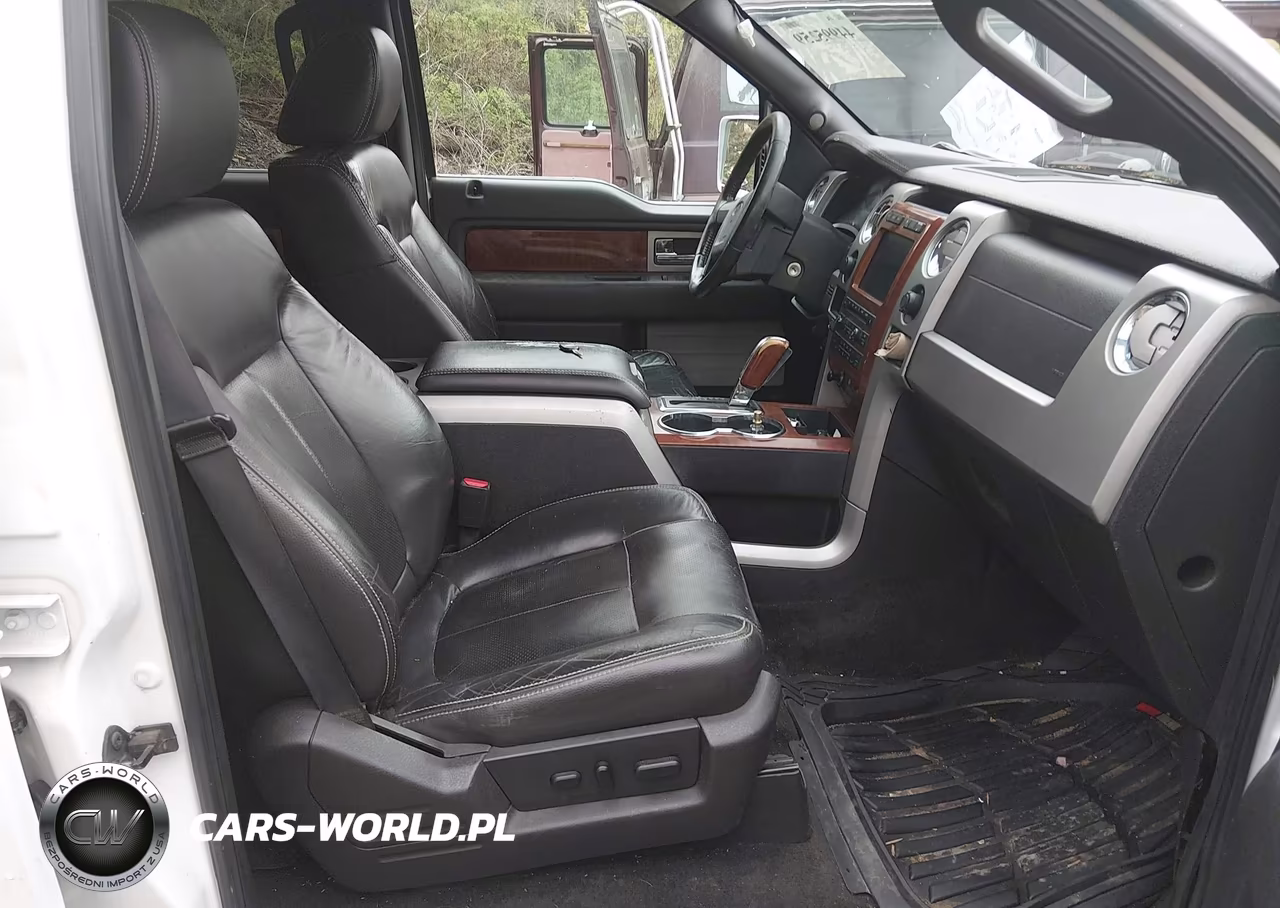 2010 Ford F-150 Fx4-Harley-Davidson-King Ranch-Lariat-Platinum-Xl-Xlt VIN:1FTFW1EV1AFB49390 - 5