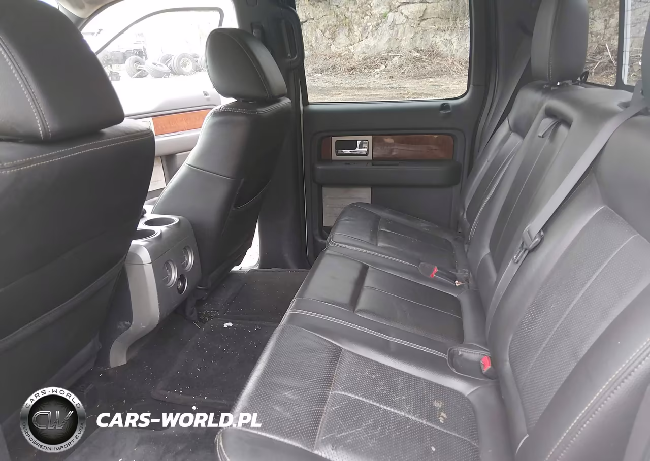 2010 Ford F-150 Fx4-Harley-Davidson-King Ranch-Lariat-Platinum-Xl-Xlt VIN:1FTFW1EV1AFB49390 - 8