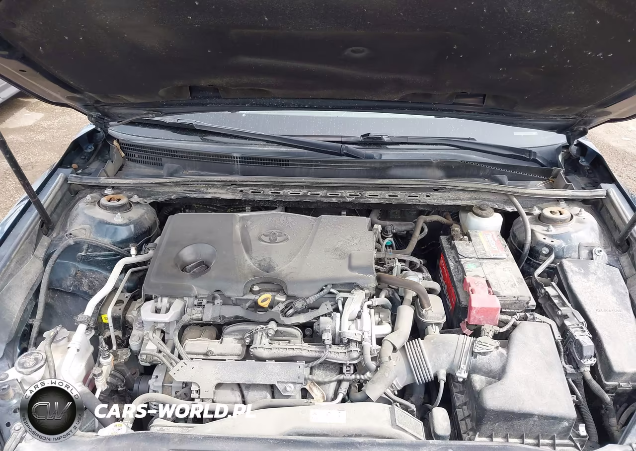 2019 Toyota Camry Se VIN:4T1B11HK2KU824817 - 10