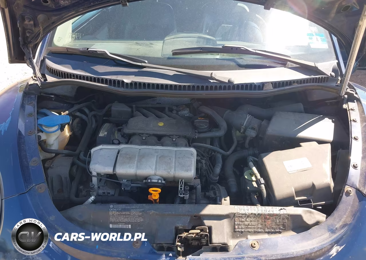2003 Volkswagen New Beetle Gls VIN:3VWCK21Y33M312111 - 10
